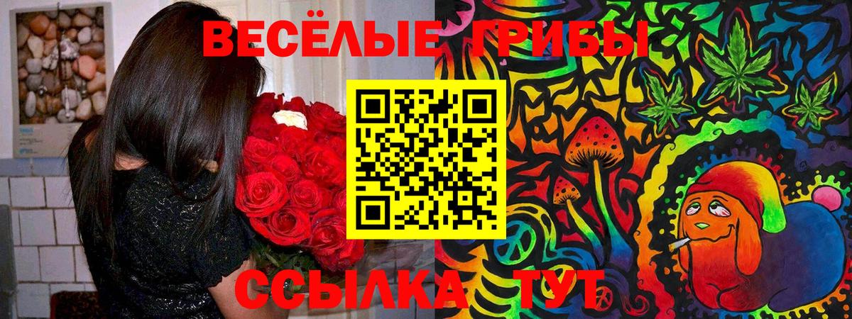 Галлюциногенные грибы Psilocybine cubensis Нижнеудинск