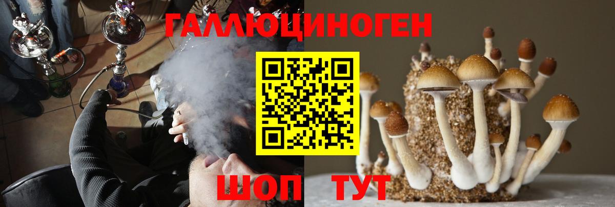 Галлюциногенные грибы Psilocybe  Вход с VPN  Галлюциногенные грибы Magic Shrooms  Нижнеудинск 